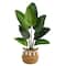 4ft. Travelers Palm Artificial Tree in Boho Chic Handmade Natural Cotton Woven Planter with Tassels